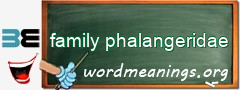 WordMeaning blackboard for family phalangeridae